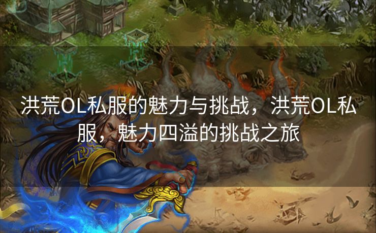 洪荒OL私服的魅力与挑战，洪荒OL私服，魅力四溢的挑战之旅